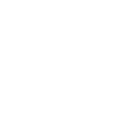 canalCEO